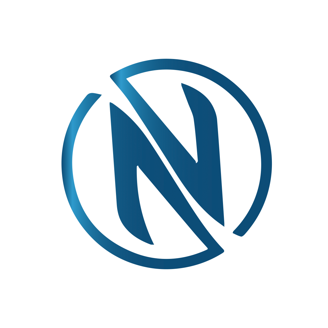 N1CTF 2025 logo